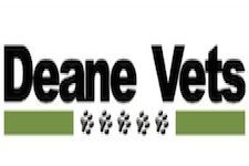 Logo for Deane Vets Ltd Logo for Deane Vets Ltd