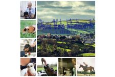 Photo of Deane Vets Ltd Photo of Deane Vets Ltd