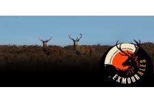 Logo for Exmoor Ales Ltd Logo for Exmoor Ales Ltd