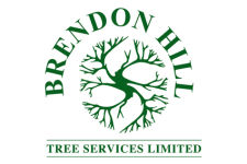 Logo for Brendon Hill Tree Services Ltd. Logo for Brendon Hill Tree Services Ltd.
