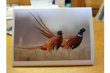 Photo of Homemade cards Photo of Homemade cards