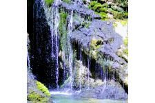 Photo of Homeopath Kate Pegram LCCH MARH Photo of Homeopath Kate Pegram LCCH MARH