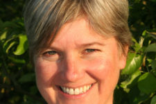 Logo for Lisa Tustian Logo for Lisa Tustian