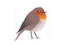 Logo for Robin’s Garden Limited Logo for Robin’s Garden Limited