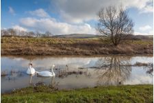 Photo of Stephen Martin Photography Photo of Stephen Martin Photography