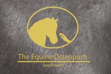 Logo for The Equine Osteopath Southwest Logo for The Equine Osteopath Southwest